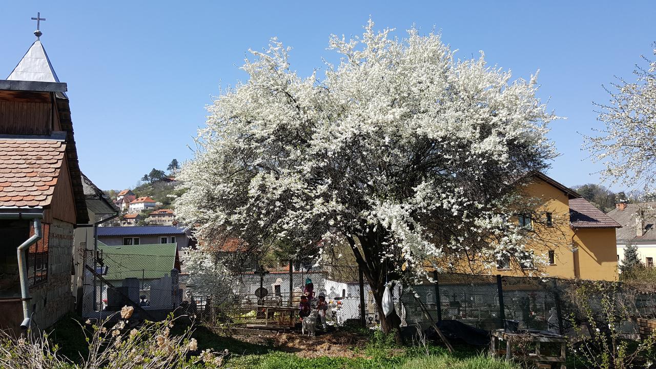 Mountain Tale Pansiyon Braşov Dış mekan fotoğraf
