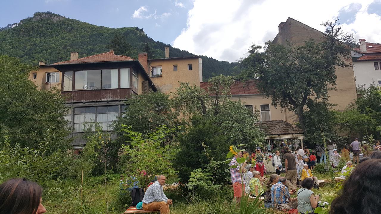 Mountain Tale Pansiyon Braşov Dış mekan fotoğraf