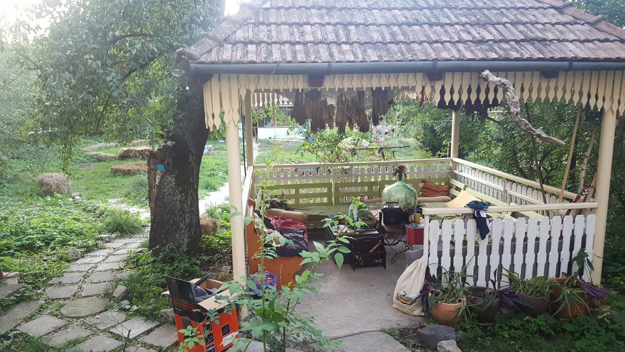 Mountain Tale Pansiyon Braşov Dış mekan fotoğraf