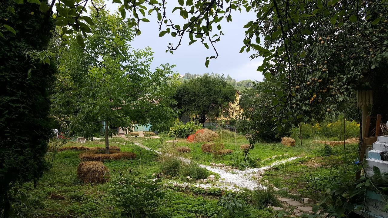 Mountain Tale Pansiyon Braşov Dış mekan fotoğraf