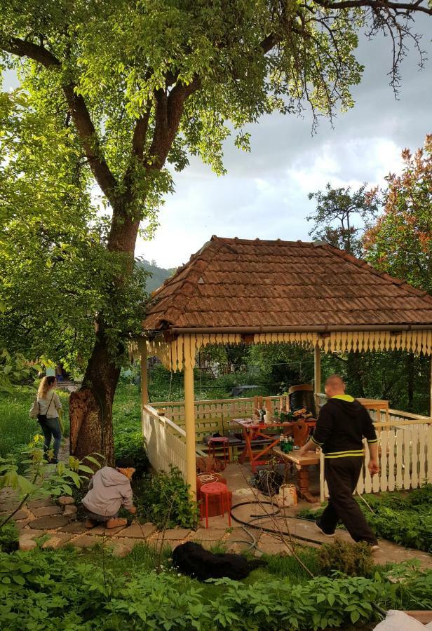 Mountain Tale Pansiyon Braşov Dış mekan fotoğraf