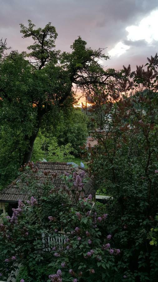 Mountain Tale Pansiyon Braşov Dış mekan fotoğraf